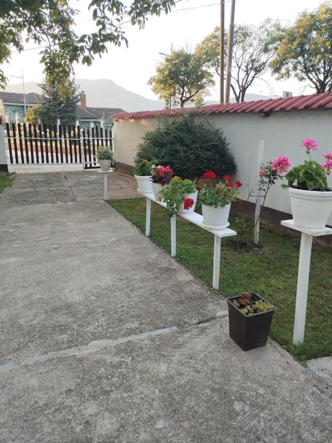 Ferienwohnung Sobe Lara Donji Milanovac Exterior foto