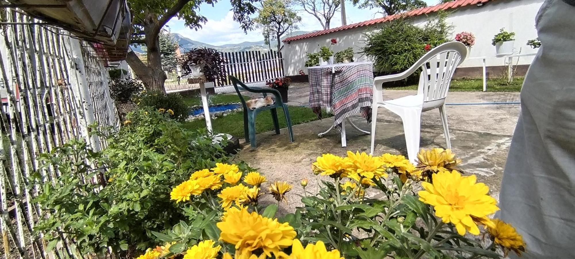 Ferienwohnung Sobe Lara Donji Milanovac Exterior foto
